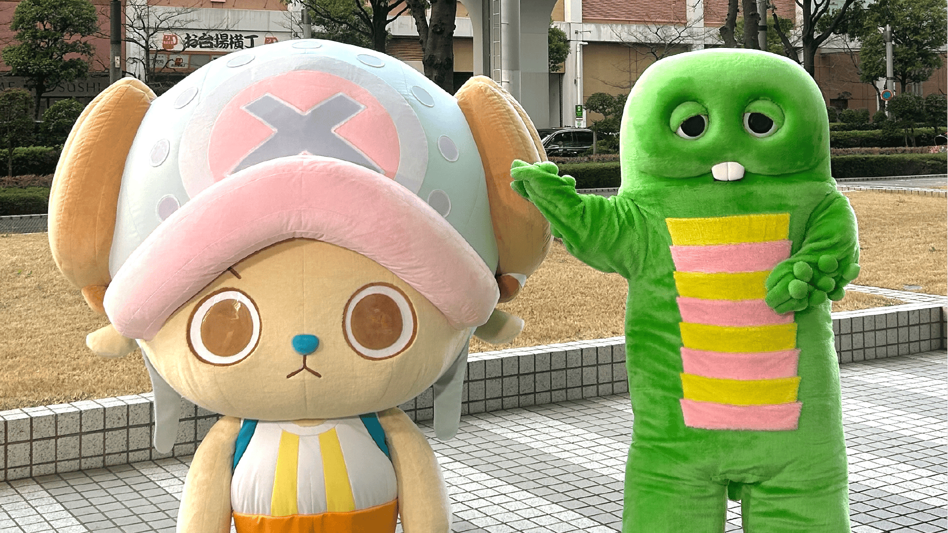NEWS | CHOPPER